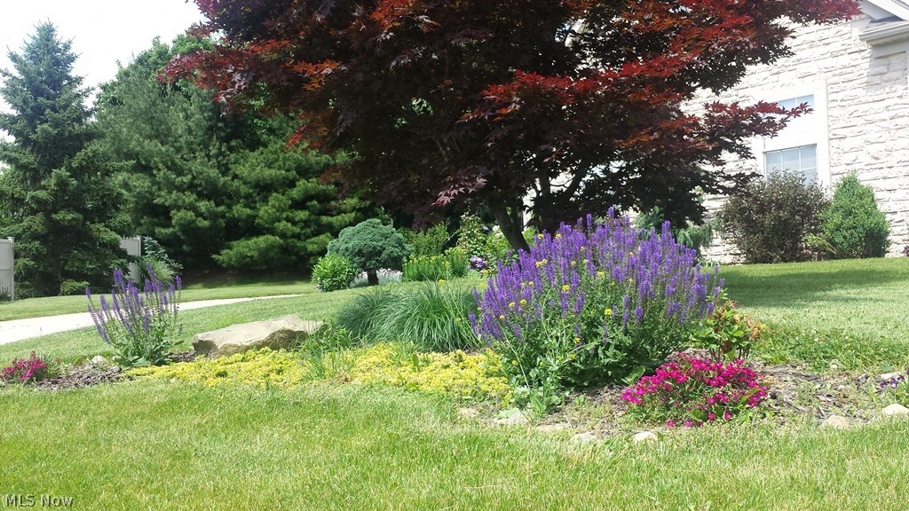 Estates At Meadowood - Residential