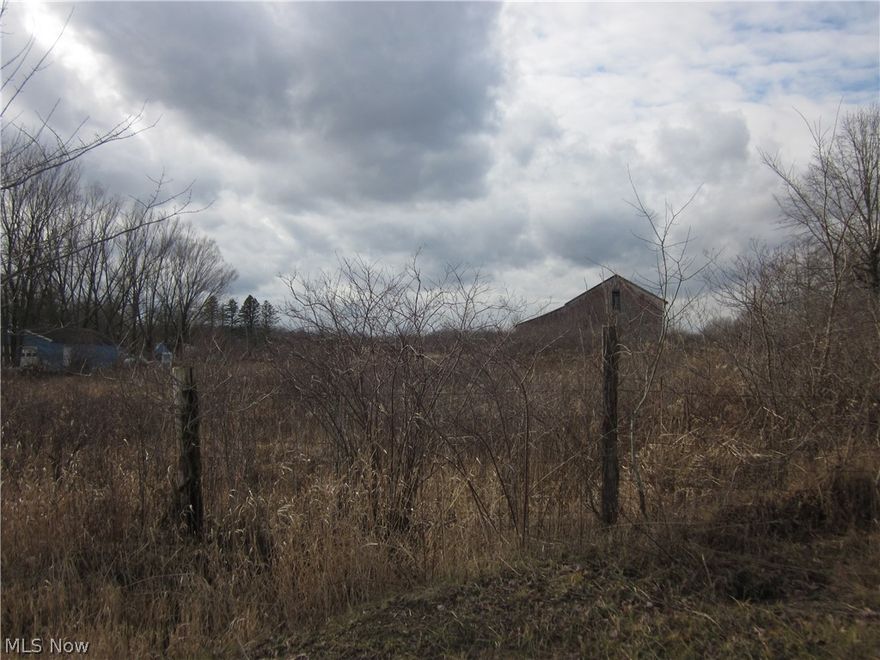 New land split over 52 acres in the agricultural program. Huge 2 story Bank Barn is included. Pond near the back of the property. Partially wooded. Subject to final land split.    SHOWINGS BY APPOINTMENT ONLY.