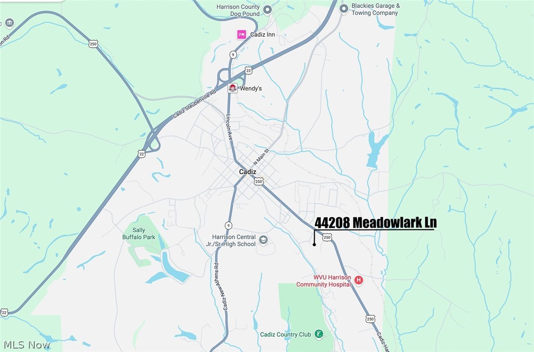 44208 Meadowlark Lane