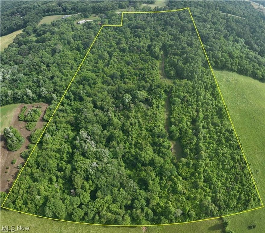 Welcome to a sprawling 29+ acres of pristine and private land, a rare gem nestled within the Tri Valley School District. This expansive parcel of nature's bounty offers a unique opportunity for those seeking a harmonious blend of tranquility and possibilities. Envision the endless potential that comes with ownership of not just the land, but also the transfer of all mineral rights held by the seller.
Escape the hustle and bustle of city life and immerse yourself in the tranquility of this natural haven. Towering trees, open meadows, and a sense of seclusion make this property a blank canvas for your vision. Create your own paradise where every sunrise and sunset becomes a personal masterpiece.  Explore the undulating landscape and take advantage of the abundant wildlife that graces the property. The diverse terrain and lush vegetation provide the perfect setting for an unforgettable hunting experience. Immerse yourself in the thrill of the chase right at your doorstep.