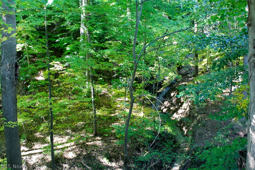 Willoughby Township 01 & 05 - Residential