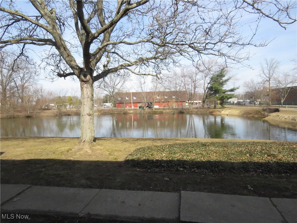 Painesville Township, Ohio 44077, United States, 2 Bedrooms Bedrooms, ,2 BathroomsBathrooms,Residential,Contingent,89377