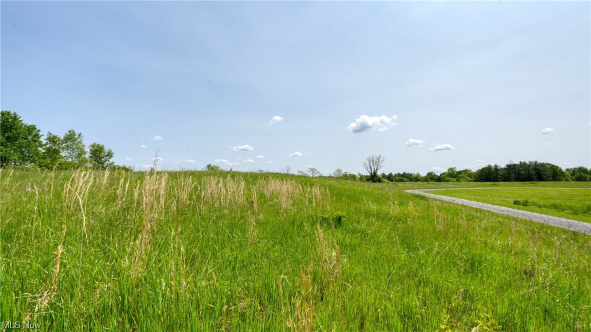 63540 Wintergreen Road, Lore City, Ohio image 9