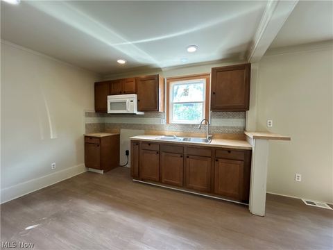 Tiny photo for 1317 Plum Street #Rear, Steubenville, OH 43952 (MLS # 5210631)