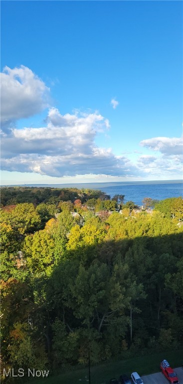 12900 Lake Avenue #1915, Lakewood, Ohio image 37