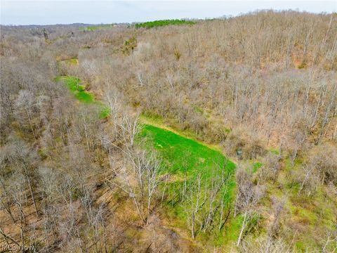 Vacant Land For Sale - East Branch Road<br/> Lowell, OH 45744