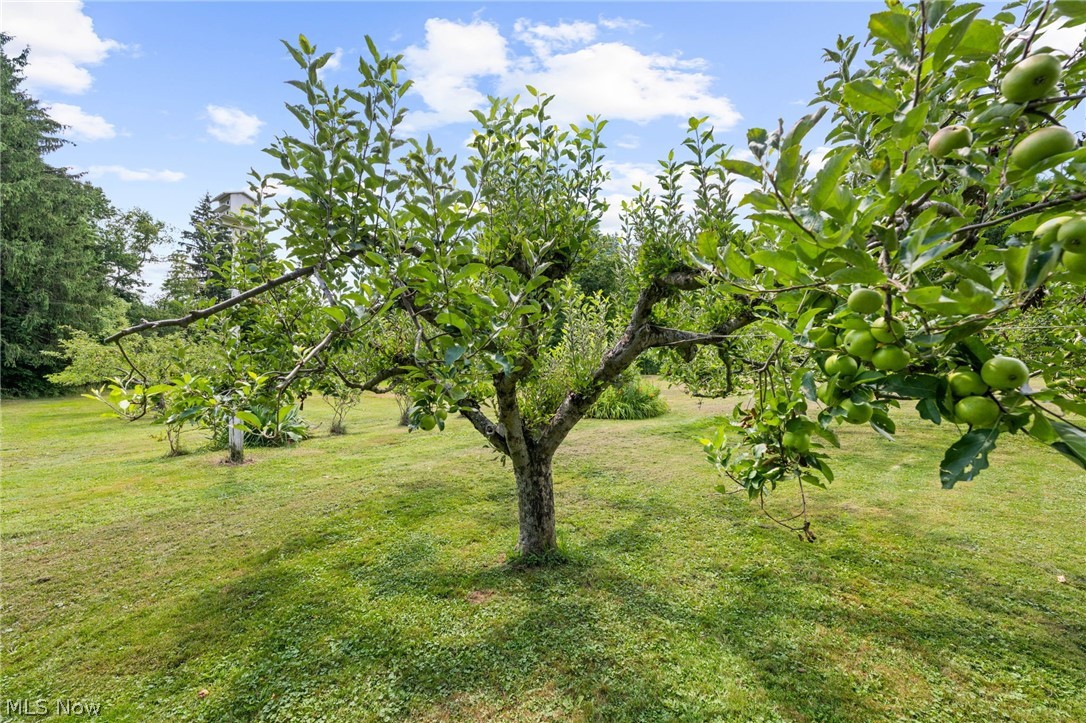 Auburn Sec 05 01 - Residential