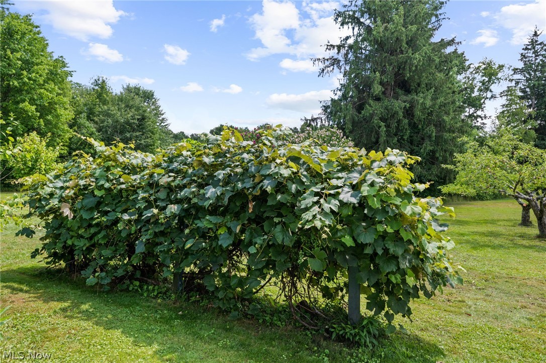 Auburn Sec 05 01 - Residential