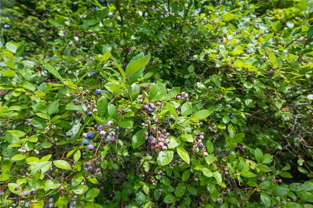 Auburn Sec 05 01 - Residential