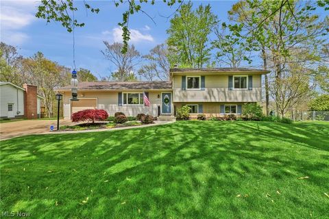 3109 Fair Oaks Drive Norton OH 44203