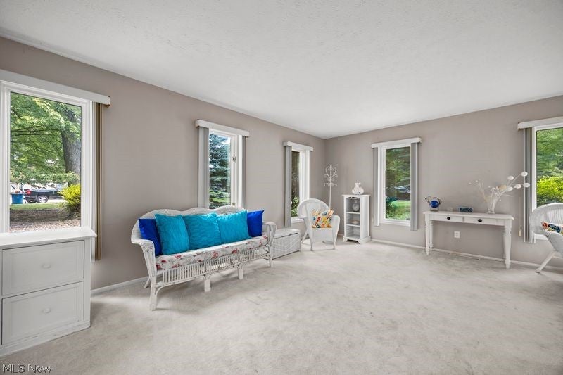 32633 Woodridge Court