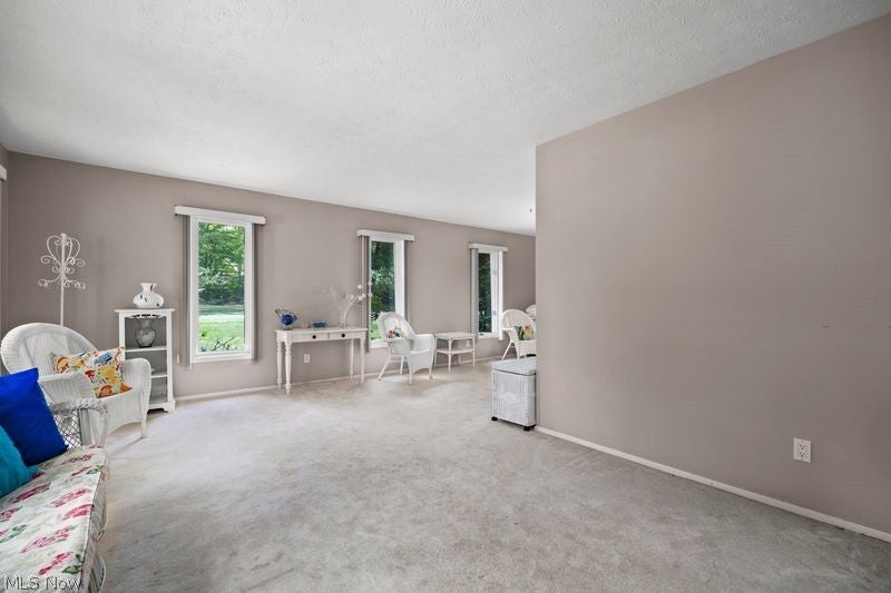 32633 Woodridge Court