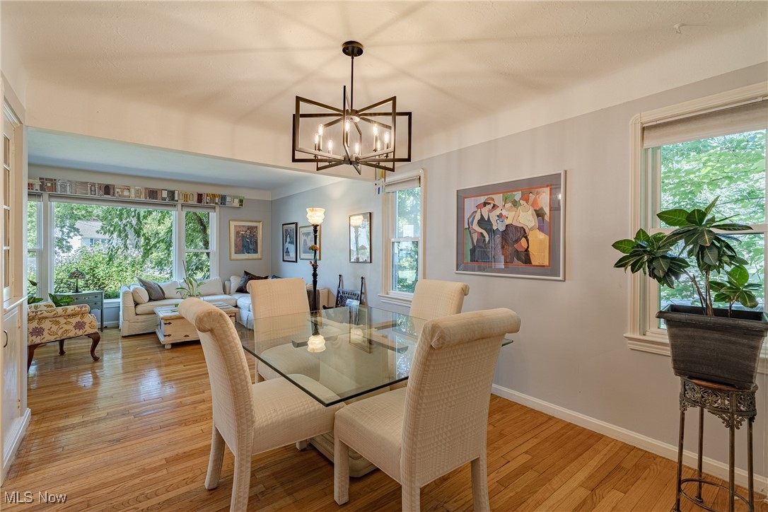 Belvoir Terrace - Residential