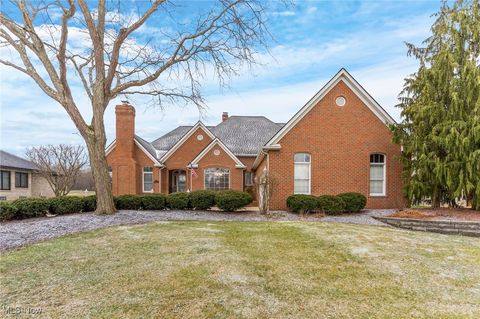 380 Shadydale Drive Canfield OH 44406