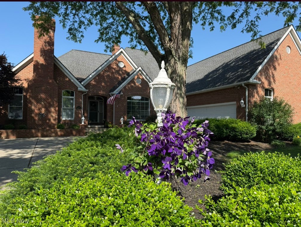 Shadydale 02 - Residential