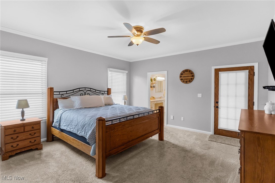 Shadydale 02 - Residential