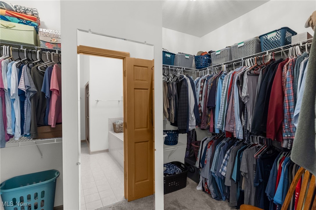 Shadydale 02 - Residential