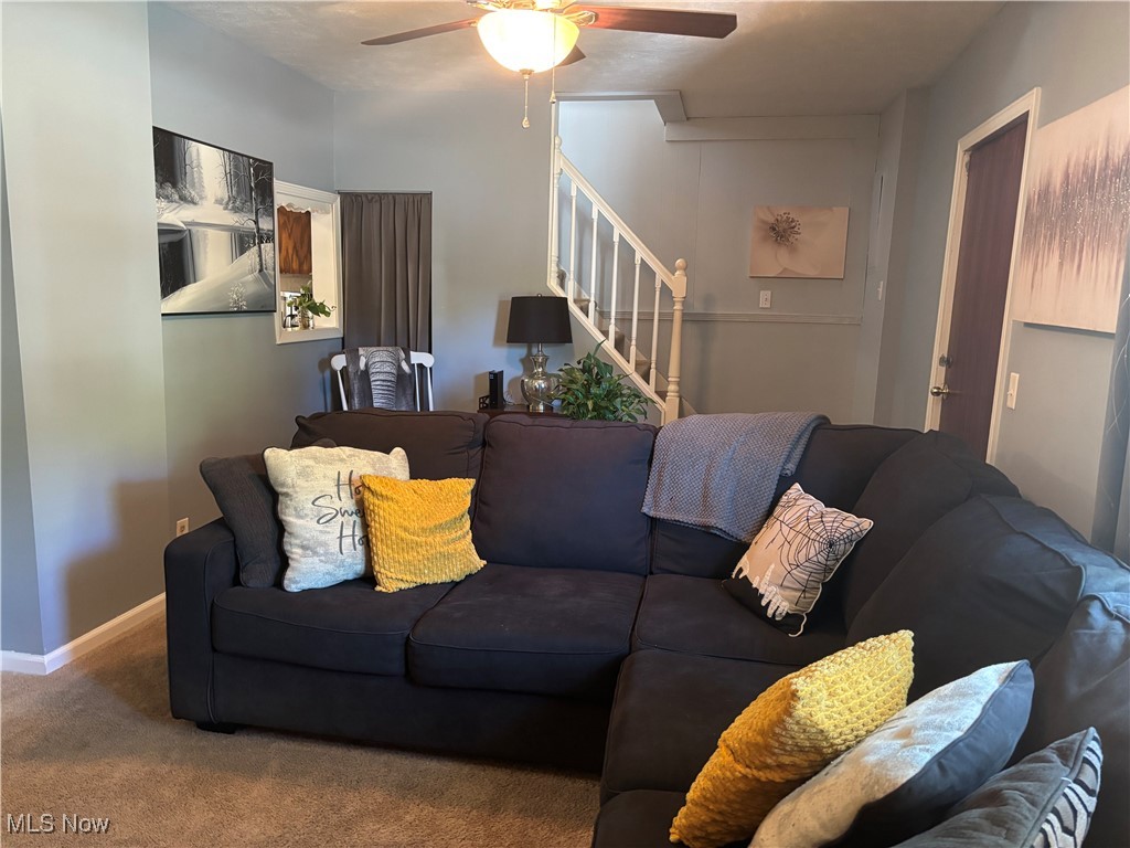 Mentor Park Acres - Residential