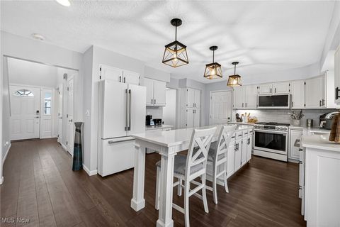 Tiny photo for 100 Pembridge Court, Sheffield Lake, OH 44054 (MLS # 5179368)