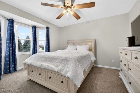 Tiny photo for 100 Pembridge Court, Sheffield Lake, OH 44054 (MLS # 5179368)