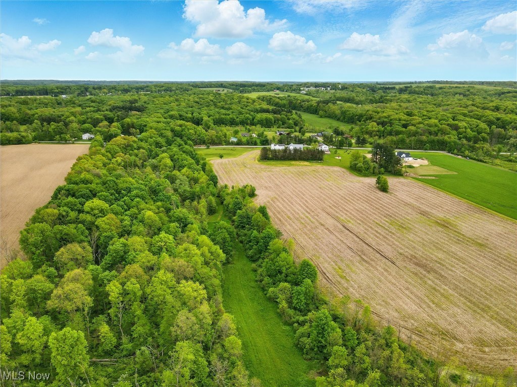 Taylor Wells Road, Chardon, Ohio image 9