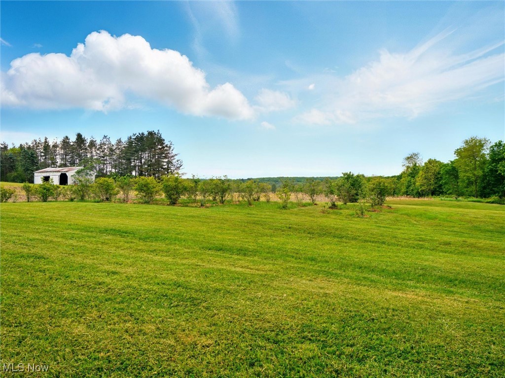 Taylor Wells Road, Chardon, Ohio image 4