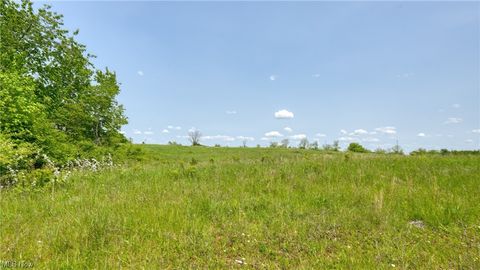 Vacant Land For Sale - 63730 Wintergreen Road<br/> Lore City, OH 43755