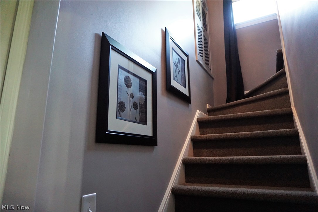 Mapledale Allotment - Residential