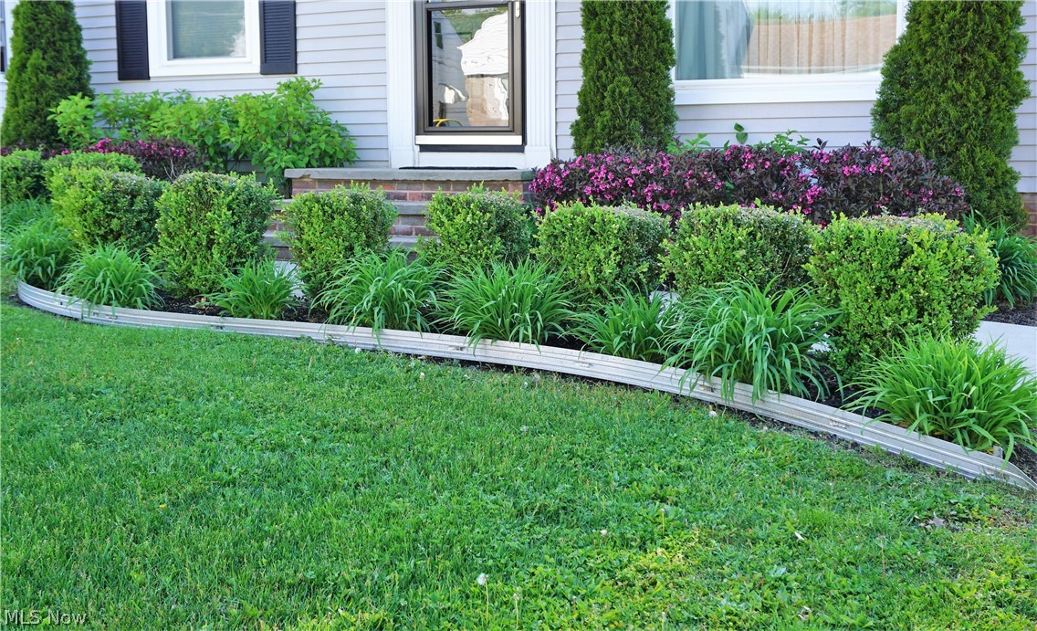 Mapledale Allotment - Residential