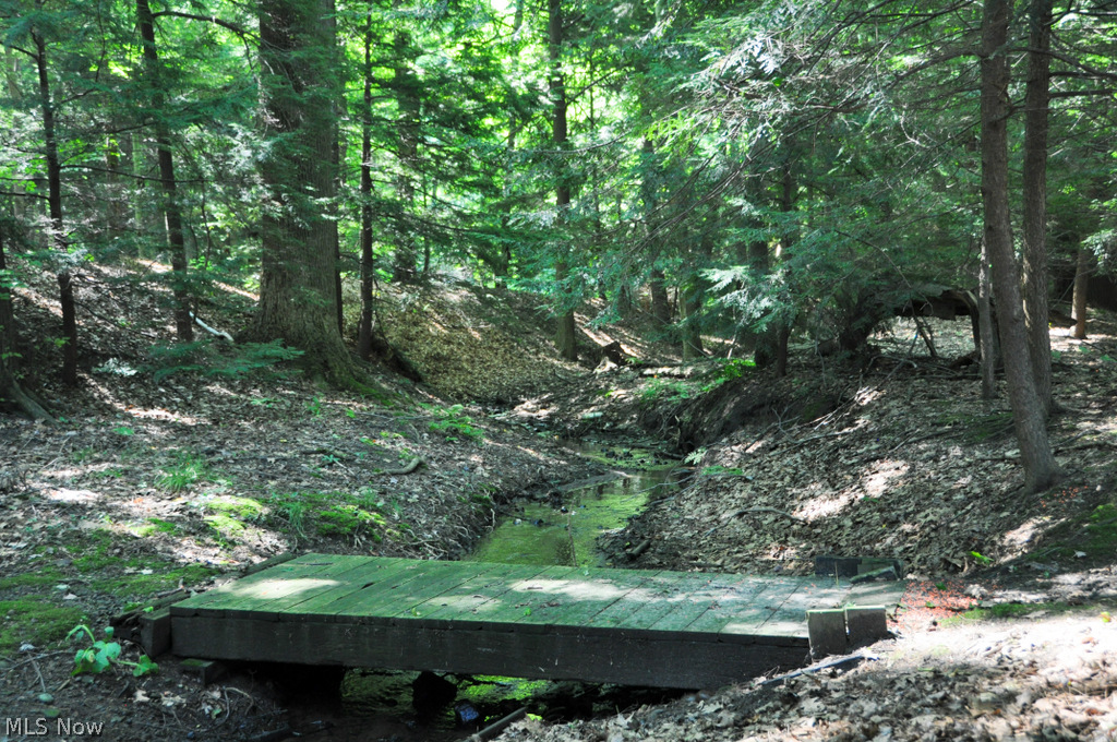 Lake Forest - Residential