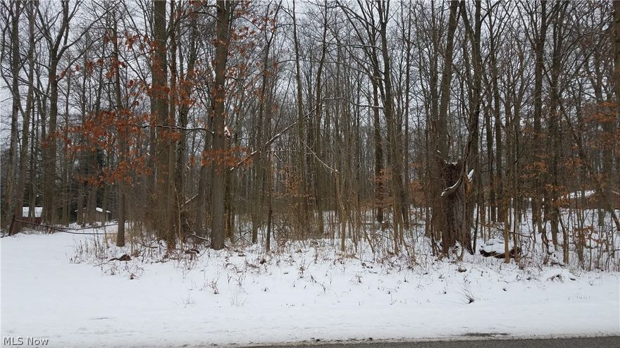 Gorgeous lot for your dream home. Lot is deep and wide, zoned residential. Lot goes back 700 to 800 feet from the street. Improvements include gas, electric, storm, sanitary sewers, phone, and cable. Great lot!