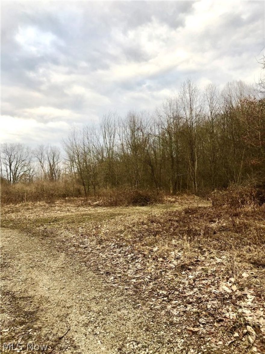 Come check out this 14+ acres located in Brimfield just minutes from Kent State, highway access, shopping, restaurants, and downtown Kent!  This vacant lot includes a pond, creek, woods, trails, privacy and over 400 feet of approximate frontage.  This property is ready for a beautiful home.  Schedule a tour today!