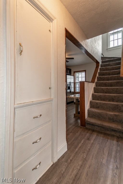 Mapledale Allotment - Residential