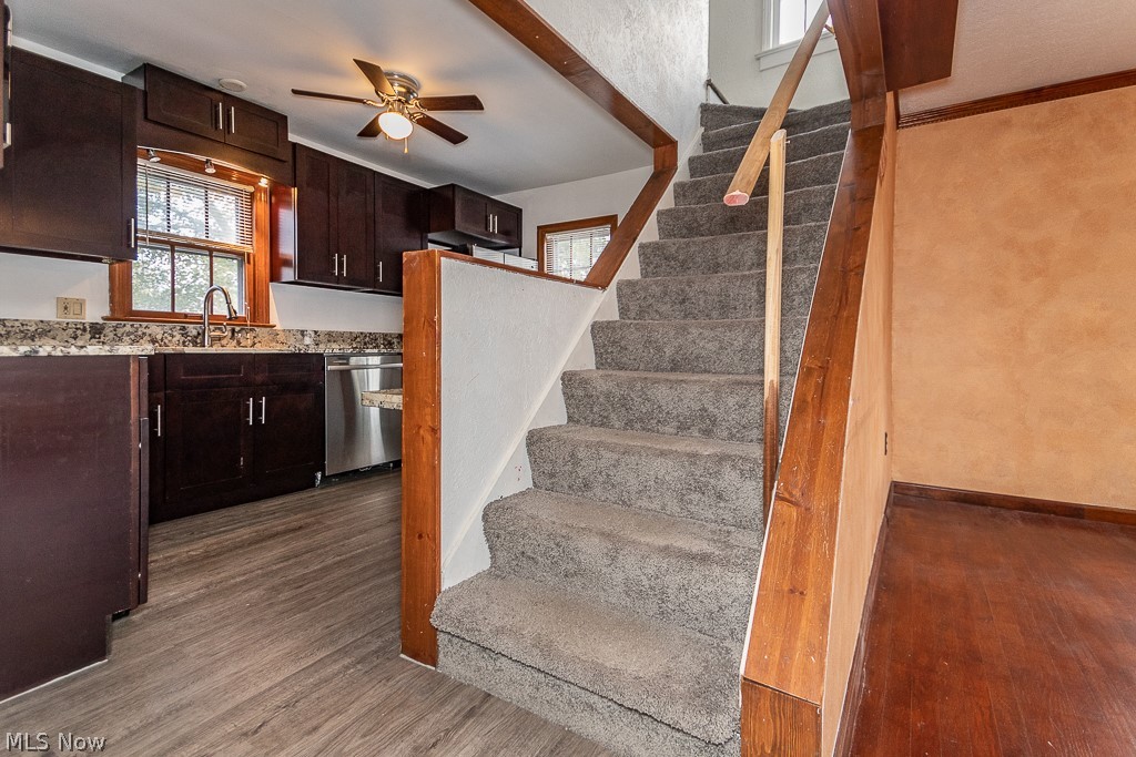 Mapledale Allotment - Residential