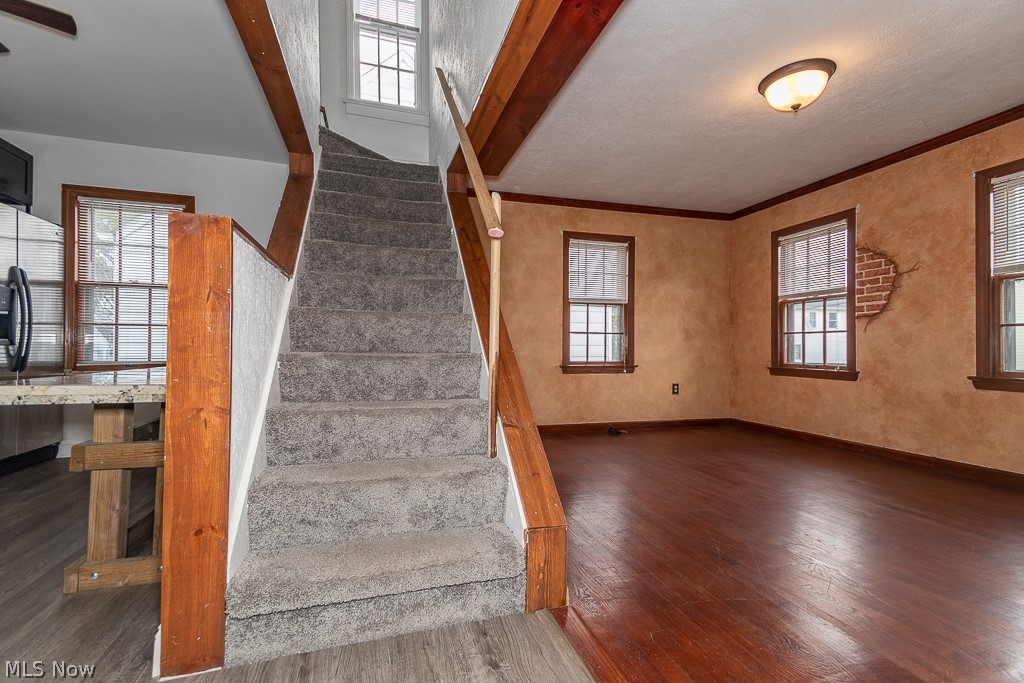 Mapledale Allotment - Residential