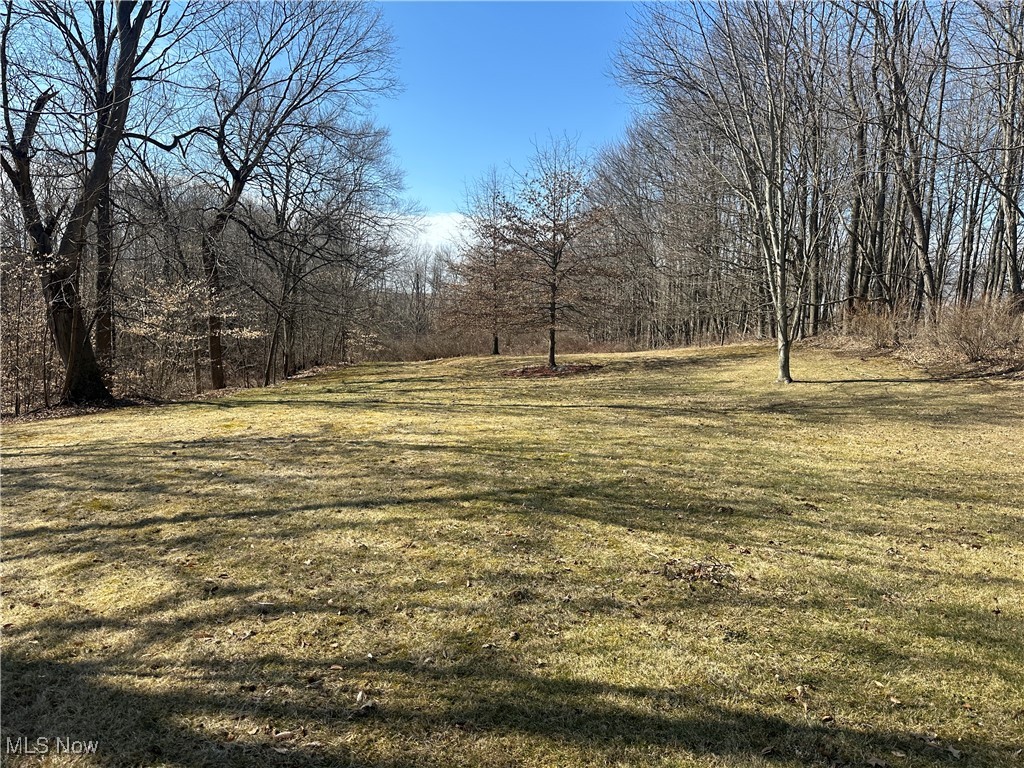 3461 Fox Avenue, Minerva, Ohio image 17
