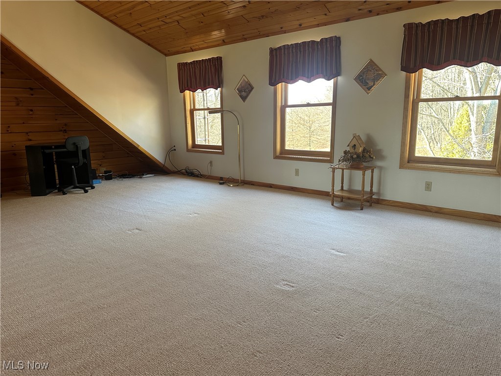 3461 Fox Avenue, Minerva, Ohio image 11