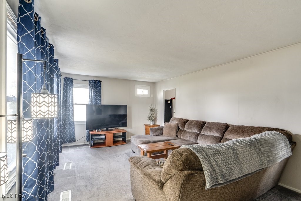 Spring Vly Sub #6 - Residential