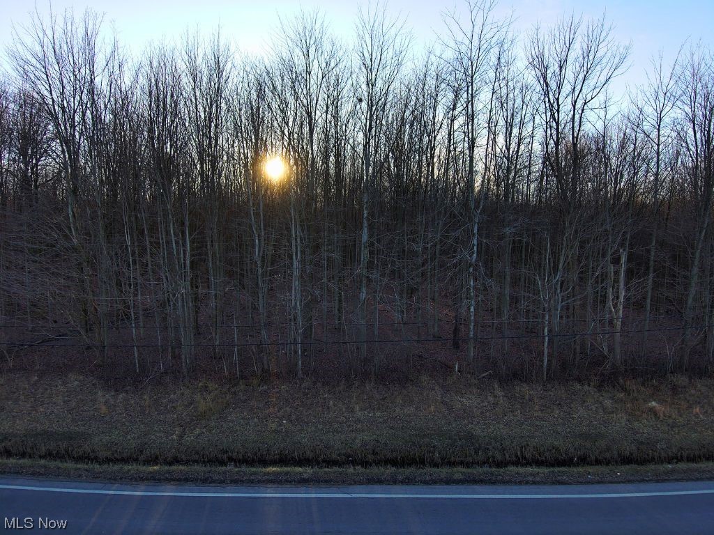 Connecticut Western Reserve - Land