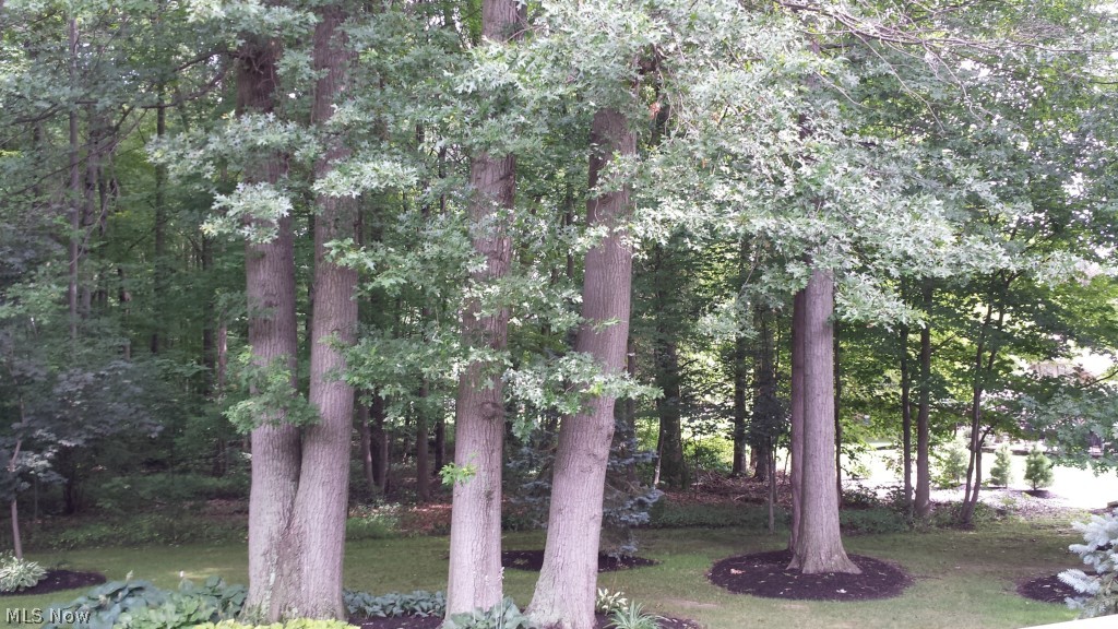 Avalon Trail Condo - Residential