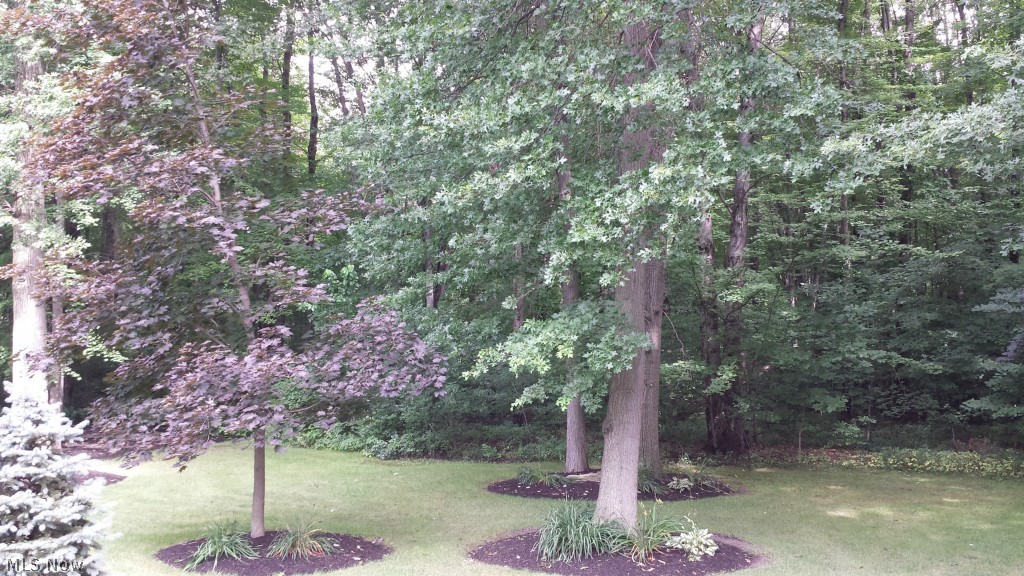 Avalon Trail Condo - Residential