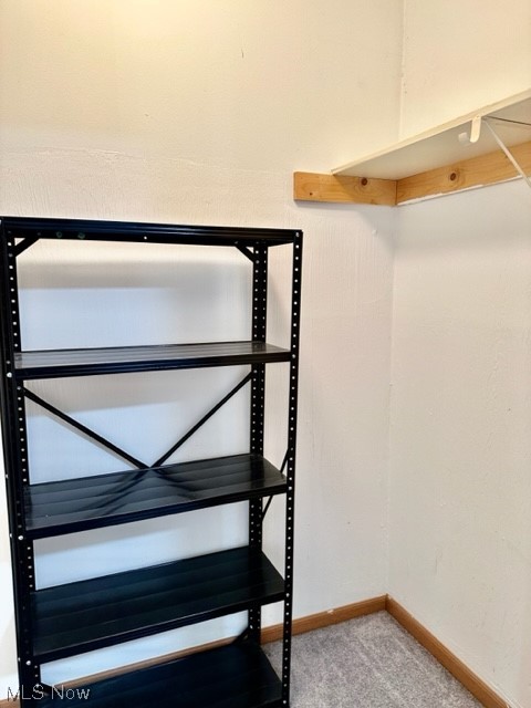 Steiner & Companys Allotment - Residential Lease