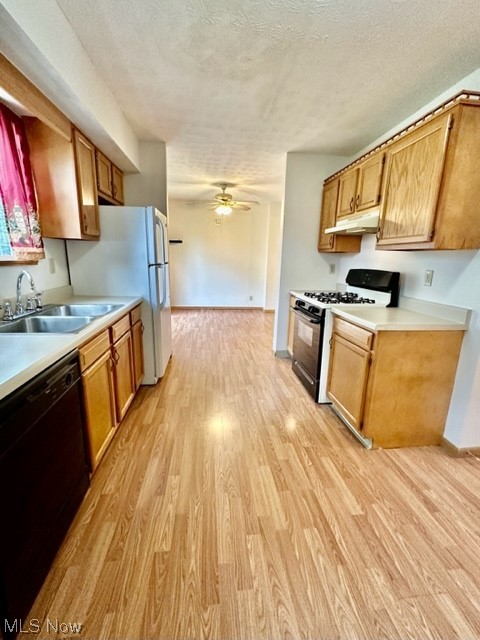 Steiner & Companys Allotment - Residential Lease