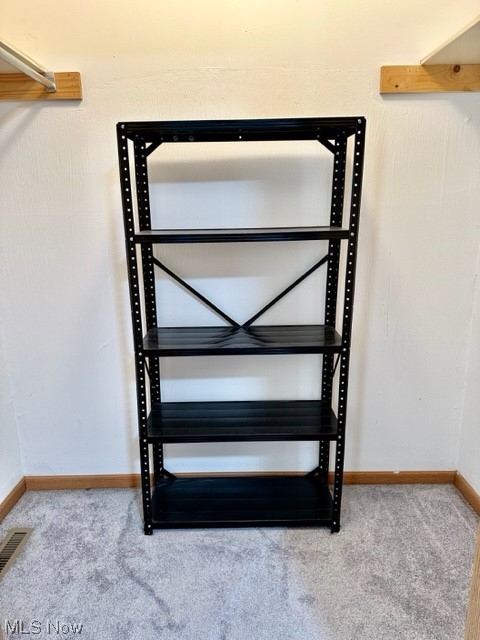 Steiner & Companys Allotment - Residential Lease