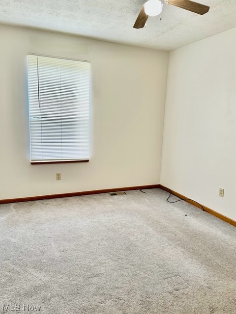 Steiner & Companys Allotment - Residential Lease