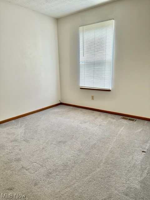 Steiner & Companys Allotment - Residential Lease