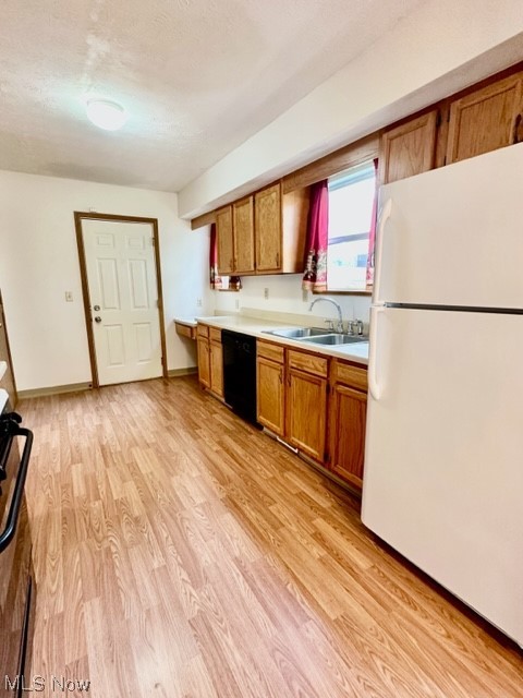 Steiner & Companys Allotment - Residential Lease