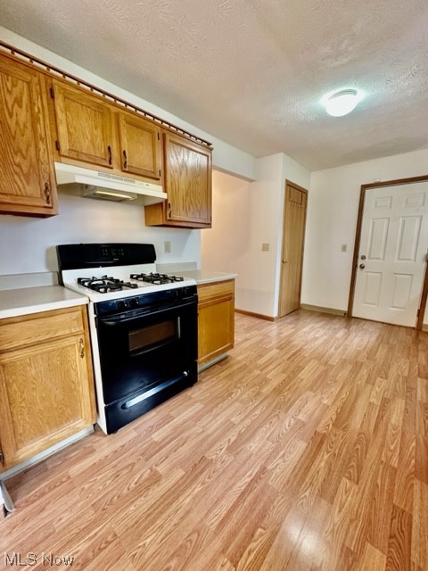 Steiner & Companys Allotment - Residential Lease