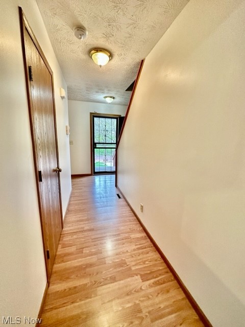 Steiner & Companys Allotment - Residential Lease