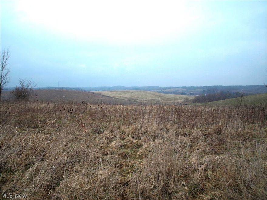 Great rural parcel located in rolling hills between Magnolia and Route 800/Cleveland Ave. Total 75.48 acres. Owner will not split. Several well pumps and tank farm are on property. Leases and all mineral rights transfer. The top portion towards the rear or north of the property is higher than most of the surrounding area providing great views and privacy. Great building spot!

The mineral rights will include the farmhouse 5 acre tract as well making approx. 80 acres of mineral rights total.